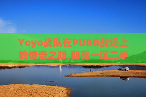 Yoyo战队在PUBG战场上的传奇之路,朝晖一区二手房