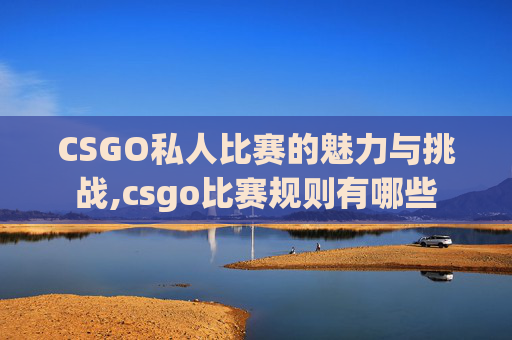 CSGO私人比赛的魅力与挑战,csgo比赛规则有哪些