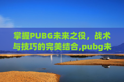 掌握PUBG未来之役，战术与技巧的完美结合,pubg未来之役安卓手机怎么下