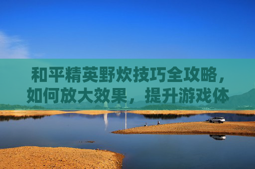 和平精英野炊技巧全攻略，如何放大效果，提升游戏体验,和平精英放大镜怎么调