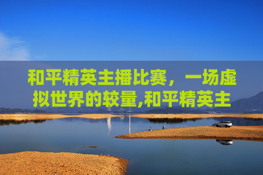 和平精英主播比赛，一场虚拟世界的较量,和平精英主播赛事