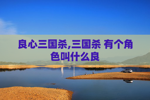良心三国杀,三国杀 有个角色叫什么良