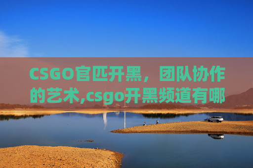 CSGO官匹开黑，团队协作的艺术,csgo开黑频道有哪些