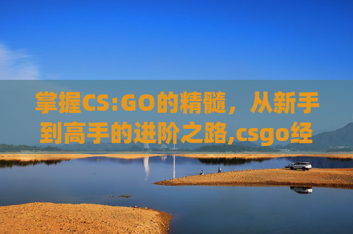 掌握CS:GO的精髓，从新手到高手的进阶之路,csgo经验值怎么获得