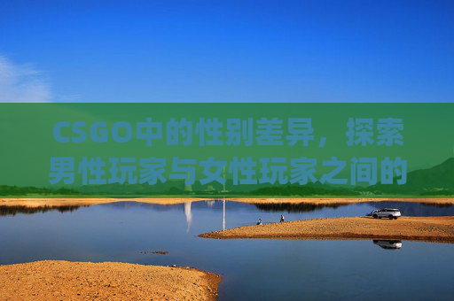 CSGO中的性别差异，探索男性玩家与女性玩家之间的独特对比,CSgo男女