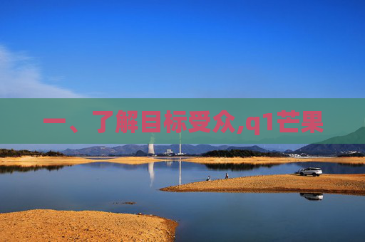 一、了解目标受众,q1芒果