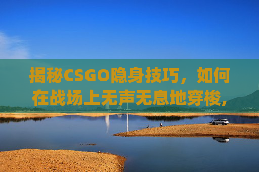 揭秘CSGO隐身技巧，如何在战场上无声无息地穿梭,csgo如何隐藏ui