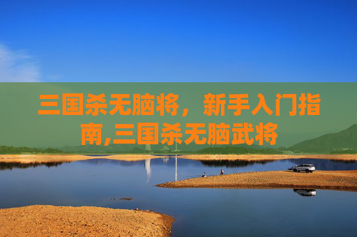 三国杀无脑将，新手入门指南,三国杀无脑武将