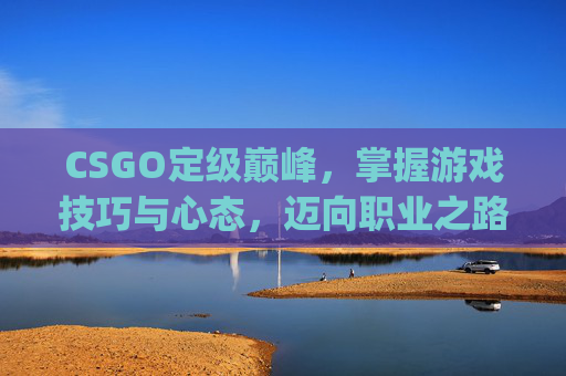 CSGO定级巅峰，掌握游戏技巧与心态，迈向职业之路,csgo等级段位