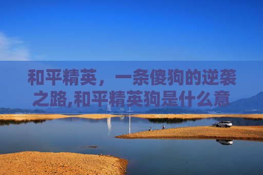 和平精英，一条傻狗的逆袭之路,和平精英狗是什么意思