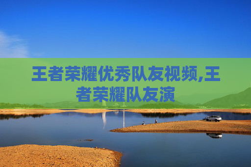 王者荣耀优秀队友视频,王者荣耀队友演