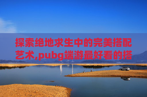 探索绝地求生中的完美搭配艺术,pubg端游最好看的搭配