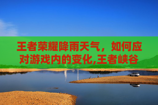 王者荣耀降雨天气，如何应对游戏内的变化,王者峡谷下雨