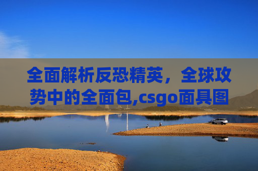 全面解析反恐精英，全球攻势中的全面包,csgo面具图片