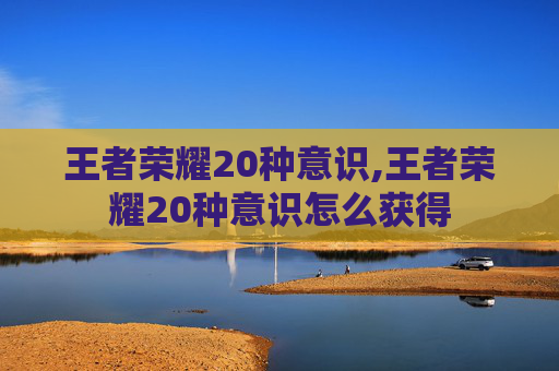 王者荣耀20种意识,王者荣耀20种意识怎么获得