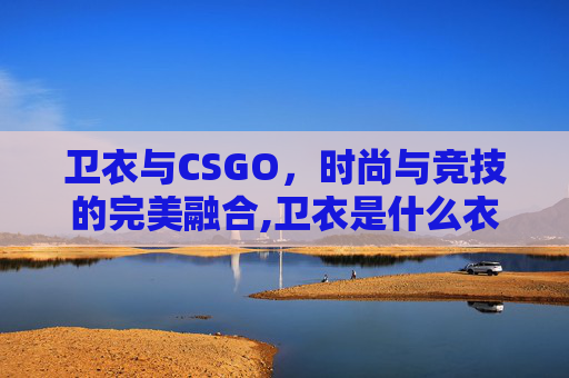 卫衣与CSGO，时尚与竞技的完美融合,卫衣是什么衣服