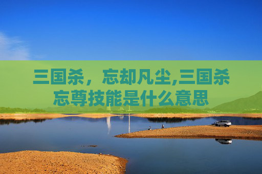 三国杀，忘却凡尘,三国杀忘尊技能是什么意思