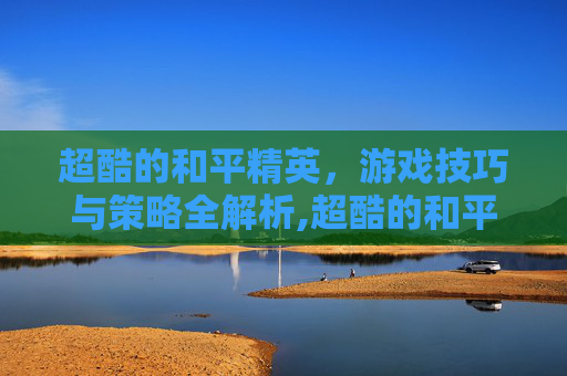 超酷的和平精英，游戏技巧与策略全解析,超酷的和平精英名字