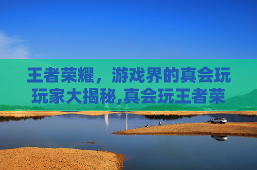 王者荣耀，游戏界的真会玩玩家大揭秘,真会玩王者荣耀吗