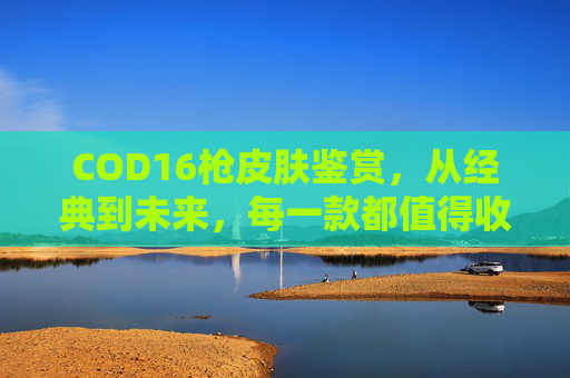 COD16枪皮肤鉴赏，从经典到未来，每一款都值得收藏,COD16武器皮肤解锁攻略