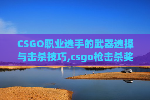 CSGO职业选手的武器选择与击杀技巧,csgo枪击杀奖励
