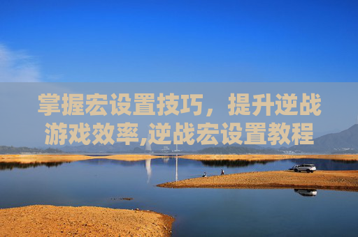 掌握宏设置技巧，提升逆战游戏效率,逆战宏设置教程