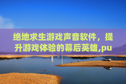 绝地求生游戏声音软件，提升游戏体验的幕后英雄,pubg声音hrtf
