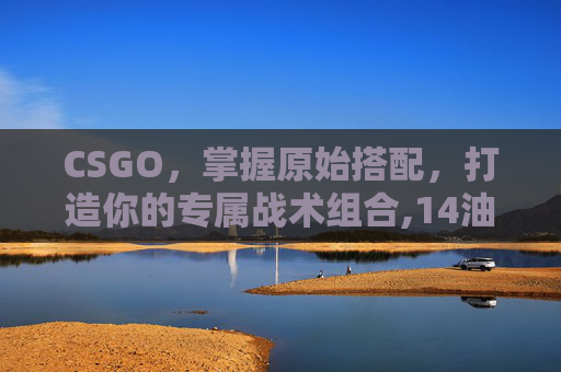 CSGO，掌握原始搭配，打造你的专属战术组合,14油耗投多少钱一公里
