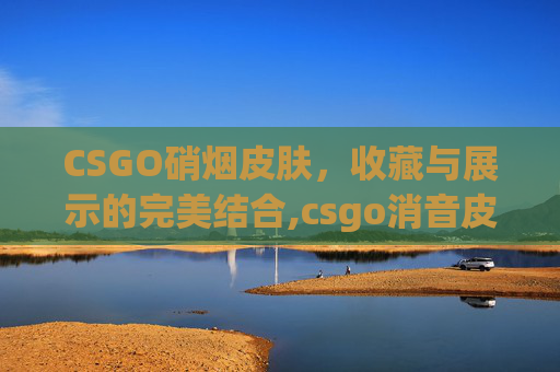 CSGO硝烟皮肤，收藏与展示的完美结合,csgo消音皮肤