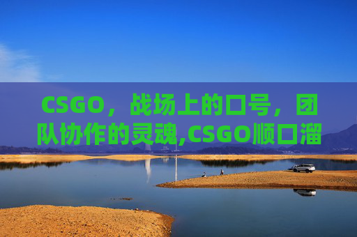 CSGO，战场上的口号，团队协作的灵魂,CSGO顺口溜