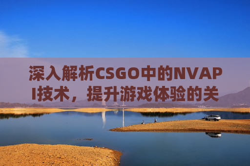 深入解析CSGO中的NVAPI技术，提升游戏体验的关键