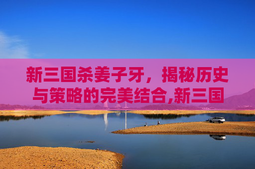 新三国杀姜子牙，揭秘历史与策略的完美结合,新三国杀姜子牙技能介绍