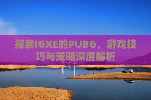 探索IGXE的PUBG，游戏技巧与策略深度解析