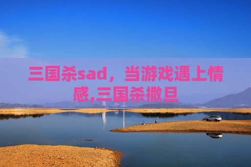 三国杀sad，当游戏遇上情感,三国杀撒旦