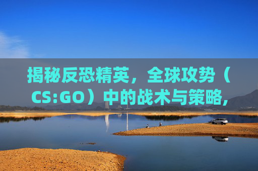 揭秘反恐精英，全球攻势（CS:GO）中的战术与策略,csgo联机