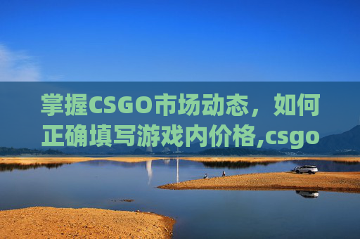 掌握CSGO市场动态，如何正确填写游戏内价格,csgo市场在售物品价格