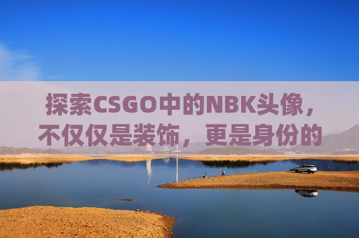 探索CSGO中的NBK头像，不仅仅是装饰，更是身份的象征,mygo cs头像