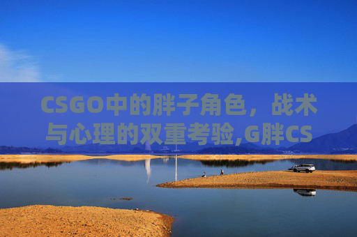 CSGO中的胖子角色，战术与心理的双重考验,G胖CSGO