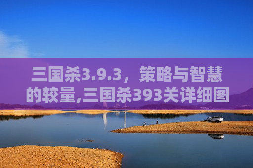 三国杀3.9.3，策略与智慧的较量,三国杀393关详细图文攻略详解
