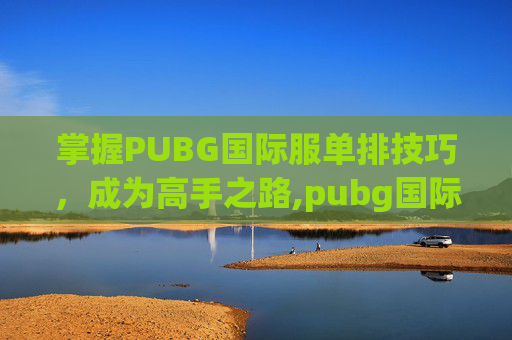 掌握PUBG国际服单排技巧，成为高手之路,pubg国际服模式