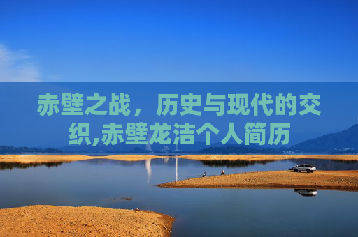 赤壁之战，历史与现代的交织,赤壁龙洁个人简历