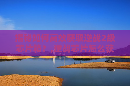揭秘如何高效获取逆战2级芯片箱？,逆战芯片怎么获得