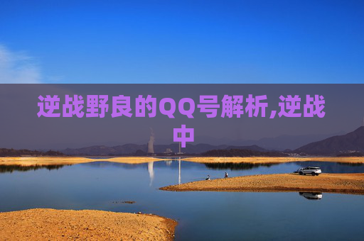 逆战野良的QQ号解析,逆战中