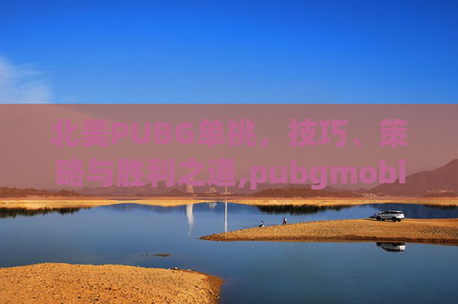 北美PUBG单挑，技巧、策略与胜利之道,pubgmobile北美