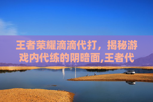 王者荣耀滴滴代打，揭秘游戏内代练的阴暗面,王者代打可以在哪接单