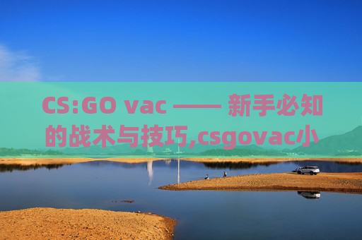 CS:GO vac —— 新手必知的战术与技巧,csgovac小作文