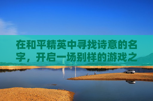 在和平精英中寻找诗意的名字，开启一场别样的游戏之旅,和平精英名字带有诗意