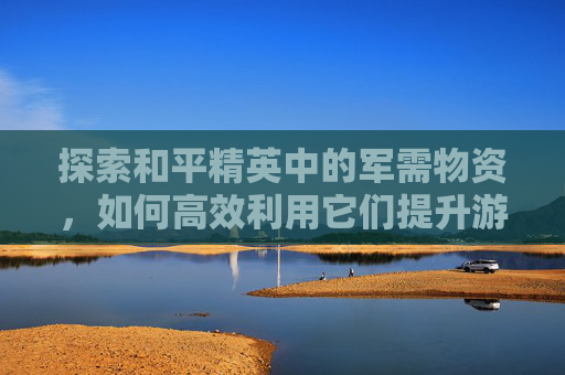 探索和平精英中的军需物资，如何高效利用它们提升游戏胜率,和平精英军需盘点
