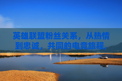 英雄联盟粉丝关系，从热情到忠诚，共同的电竞旅程,lol粉丝黑称