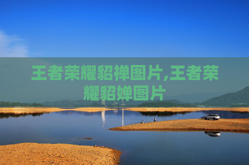 王者荣耀貂禅图片,王者荣耀貂婵图片